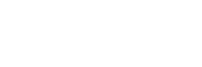 Platinum Solution Partner white-1