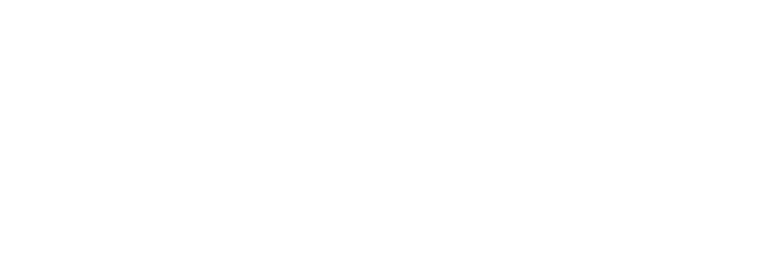 Platinum Solution Partner white-1