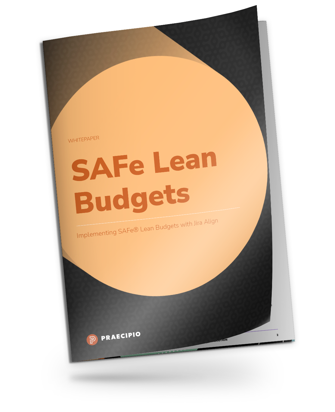 SAFe-Lean-Budget-Whitepaper