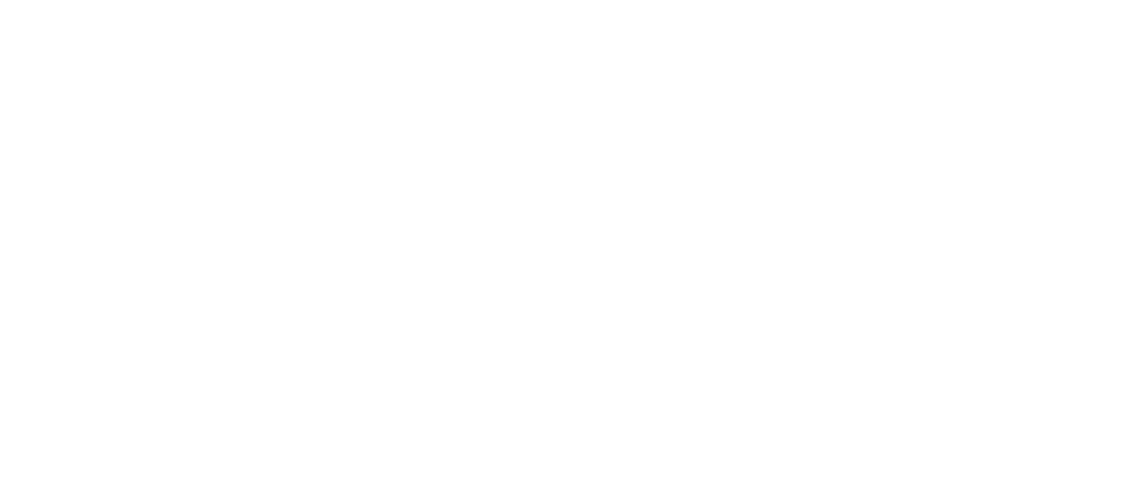 Platinum Solution Partner white