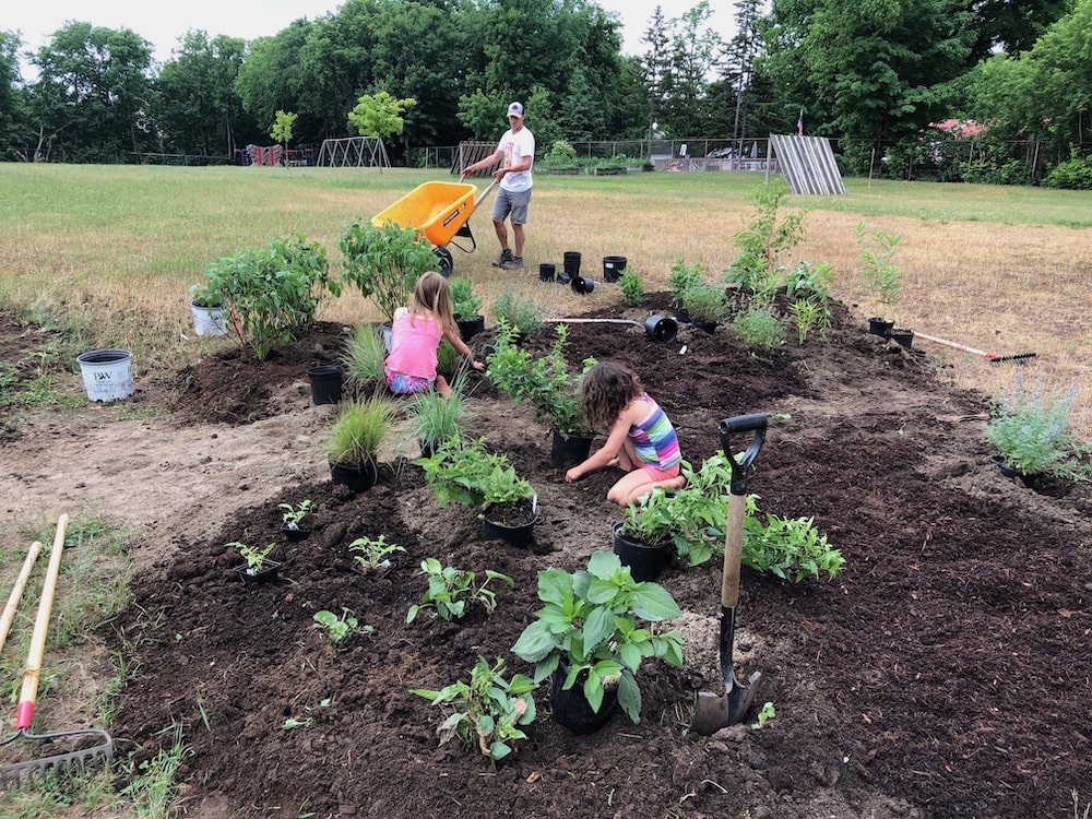 Two little kids help plant a garden with an adult in the background holding an orange wheelbarrow.