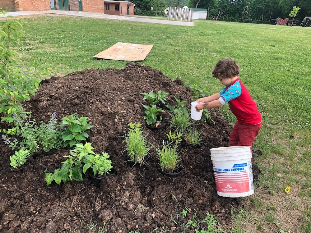 Little boy dressed in red planting plants with a 5 gallon bucket in front of him. 