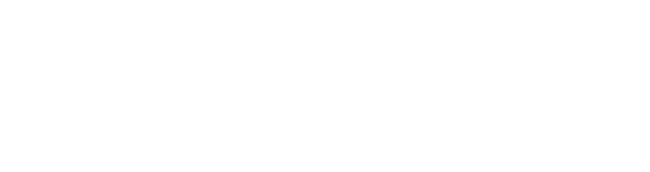 apptio-white